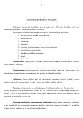 Konfliktų priežastys bei sprendimo būdai 8 puslapis