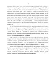 Konstitucijoje įtvirtinti teisingumo principai 12 puslapis