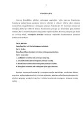 Konstitucijoje įtvirtinti teisingumo principai 3 puslapis