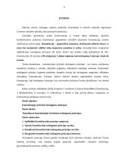 Konstitucijoje įtvirtinti teisingumo principai 4 puslapis