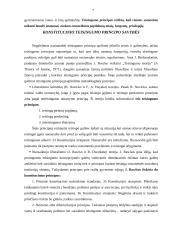 Konstitucijoje įtvirtinti teisingumo principai 7 puslapis