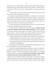 Konstitucijoje įtvirtinti teisingumo principai 8 puslapis