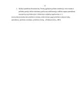 Konstitucinės teisės samprata 12 puslapis