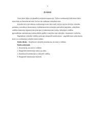 Konstitucinės teisės samprata 3 puslapis