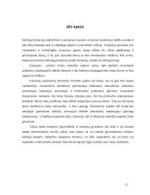 Korupcijos priežastys ir pasekmės 11 puslapis