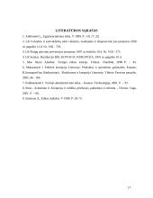 Korupcijos priežastys ir pasekmės 12 puslapis