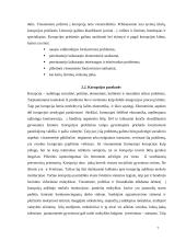 Korupcijos priežastys ir pasekmės 6 puslapis