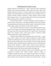 Korupcijos priežastys ir pasekmės 8 puslapis