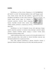 Kūrybiškumą įtakojantys veiksniai 2 puslapis