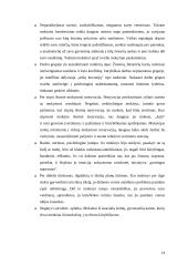 Kūrybiškumą įtakojantys veiksniai 14 puslapis