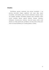 Kūrybiškumą įtakojantys veiksniai 15 puslapis