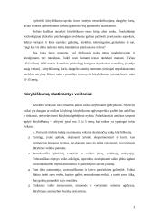 Kūrybiškumą įtakojantys veiksniai 3 puslapis