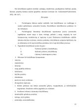 Kūrybos psichologija 10 puslapis