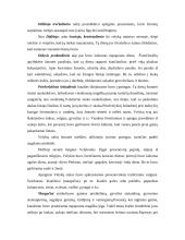 Liaudies kalendorius. Pavasaris 5 puslapis