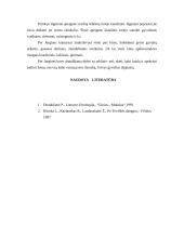 Liaudies kalendorius. Pavasaris 8 puslapis