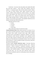 Lyderiavimo teorijos 2 puslapis