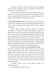 Lyderiavimo teorijos 3 puslapis