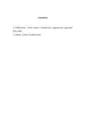 Lyderiavimo teorijos 6 puslapis
