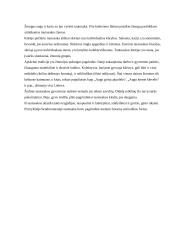 Lietuvos tautosaka su pavyzdžiais 2 puslapis