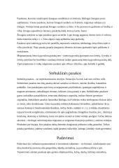 Lietuvos tautosaka su pavyzdžiais 15 puslapis