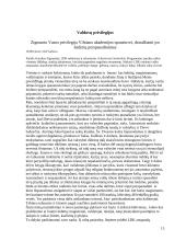 Lietuvos didžiosios kunigaikštystės (LDK) knygos istorija ir poligrafijos atsiradimas mūsų krašte 13 puslapis