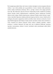 Lietuvos muitinė 11 puslapis