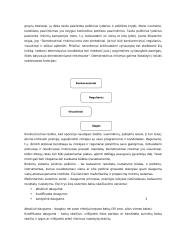 Lietuvos Respublikos Seimo rinkimai 3 puslapis