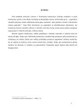 Lyginamoji Lietuvos ir Nyderlandų konstitucijų analizė 3 puslapis