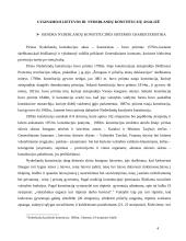 Lyginamoji Lietuvos ir Nyderlandų konstitucijų analizė 4 puslapis