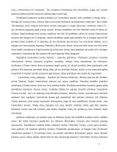 Lyginamoji Lietuvos ir Nyderlandų konstitucijų analizė 5 puslapis