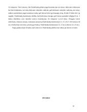 Lyginamoji Lietuvos ir Nyderlandų konstitucijų analizė 10 puslapis