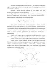 Mąstymo rūšys 11 puslapis