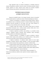 Mąstymo rūšys 16 puslapis