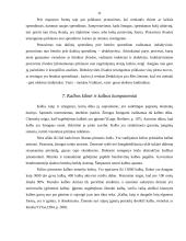 Mąstymo procesai ir kalba 11 puslapis