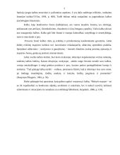 Mąstymo procesai ir kalba 3 puslapis