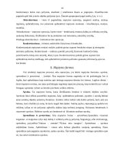 Mąstymo procesai ir kalba 10 puslapis