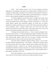 Meilė, pareiga, ištikimybė šeimoje 3 puslapis
