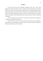 Meilės samprata pagal Erichą Fromą 13 puslapis