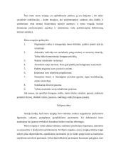 Meno terapija 2 puslapis