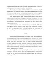 Meno terapija 3 puslapis