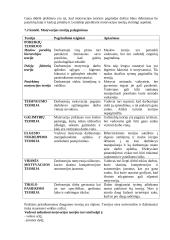 Motyvacija (Vertimas) 11 puslapis