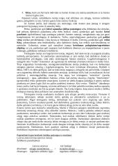 Motyvacija (Vertimas) 4 puslapis