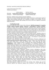 Motyvacija (Vertimas) 5 puslapis