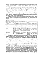 Motyvacija (Vertimas) 7 puslapis