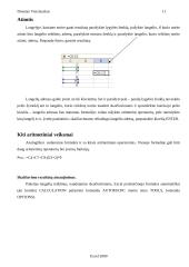 MS Excel 2000 11 puslapis