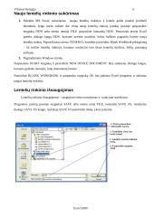 MS Excel 2000 6 puslapis