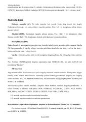 MS Excel 2000 8 puslapis