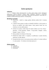 Muitinės korporatyvinio tinklo projektas 3 puslapis