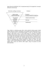 Narkomanija skirtingose žmonių grupėse 13 puslapis