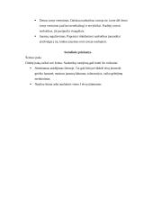 Narkotikų žala paaugliams 11 puslapis